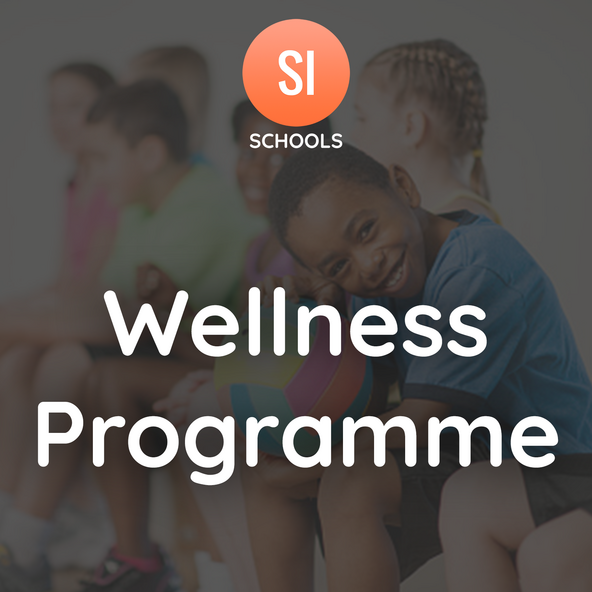 Wellness Programme